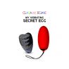 My Vibrating Secret Egg 2 couleur aux choix Clara Morgane