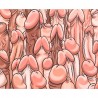 DIABLO PICANTE - TAPIS DE SOURIS COULEUR AVEC DESSIN DE PÉNIS