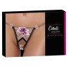 String ouvert de Cottelli LINGERIE