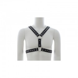 Harnais homme Strap Chest