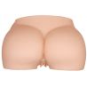 Fessier vibrant 4 KG 24 cm X 16 cm Baile